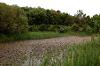 Pond, Barlow Burn